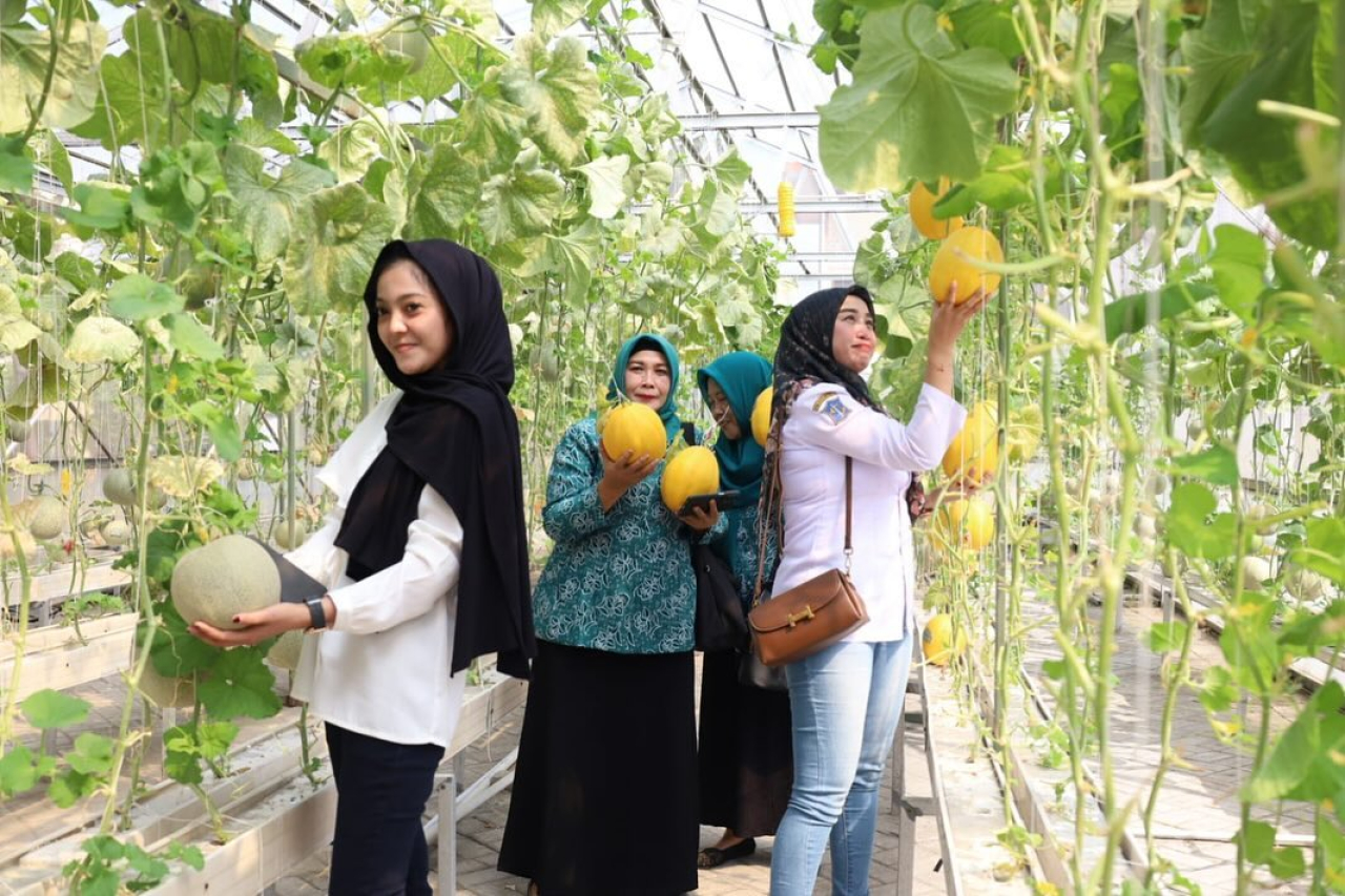 Kampung Jemur Wonosari Surabaya