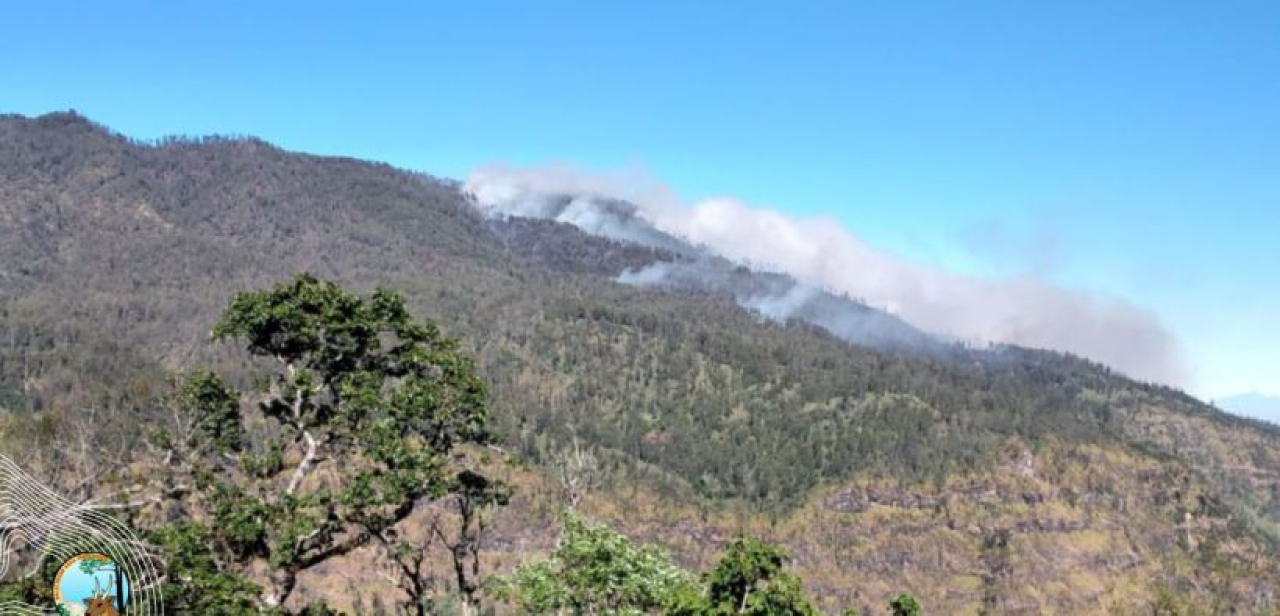 Gunung Argopuro kebakaran (Kominfo Jatim)