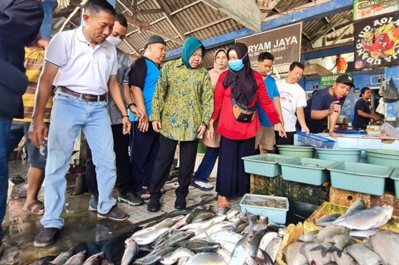 Tri Rismaharini berdialog dengan pedagang ikan di Tempat Pelelangan Ikan (TPI) Sidoarjo, Sabtu (7/9/2024). Foto: hadi/pdiperjuangan-jatim.com