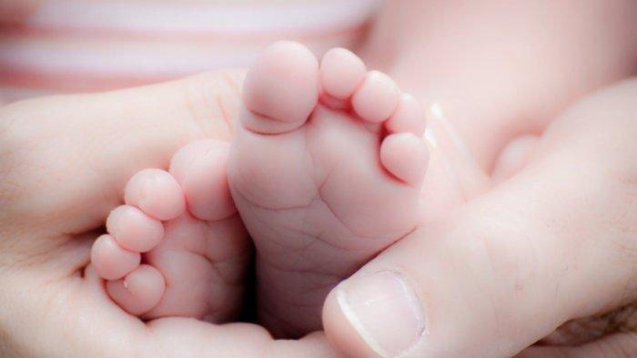 Ilustrasi bayi