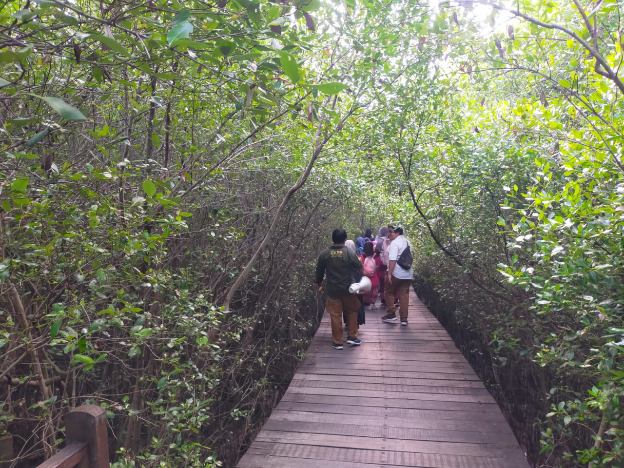 Kebun Raya Mangrove Surabaya
