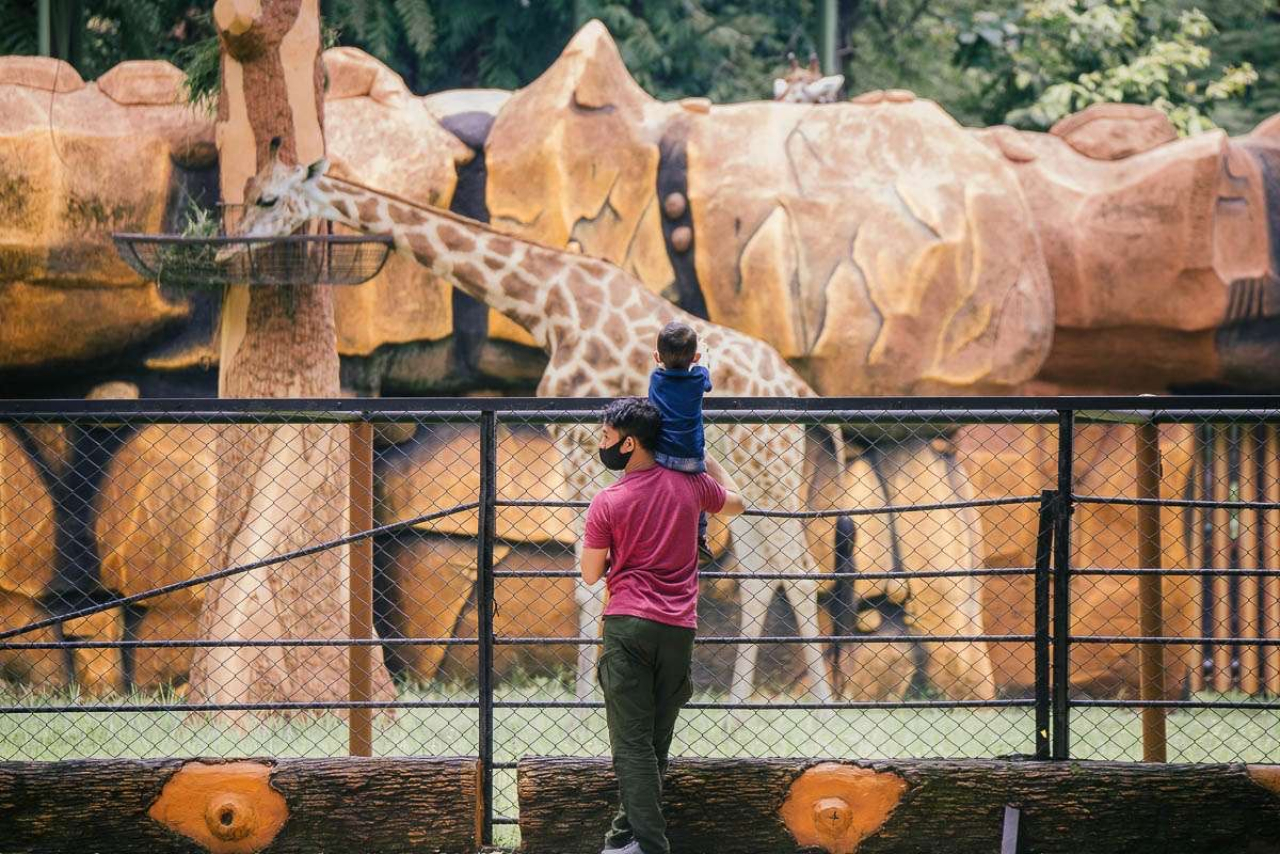 Suasana Kebun Binatang Surabaya