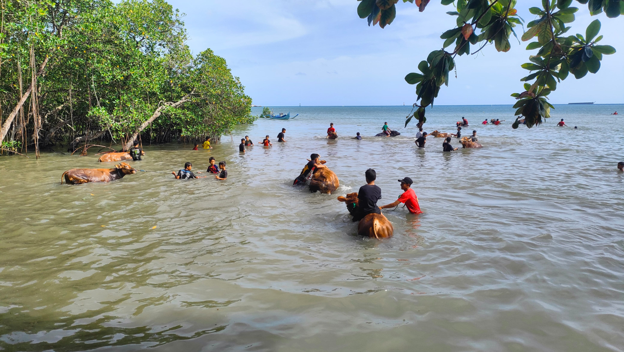 Tradisi Rasol, ritual turun-temurun di Bawean, Gresik