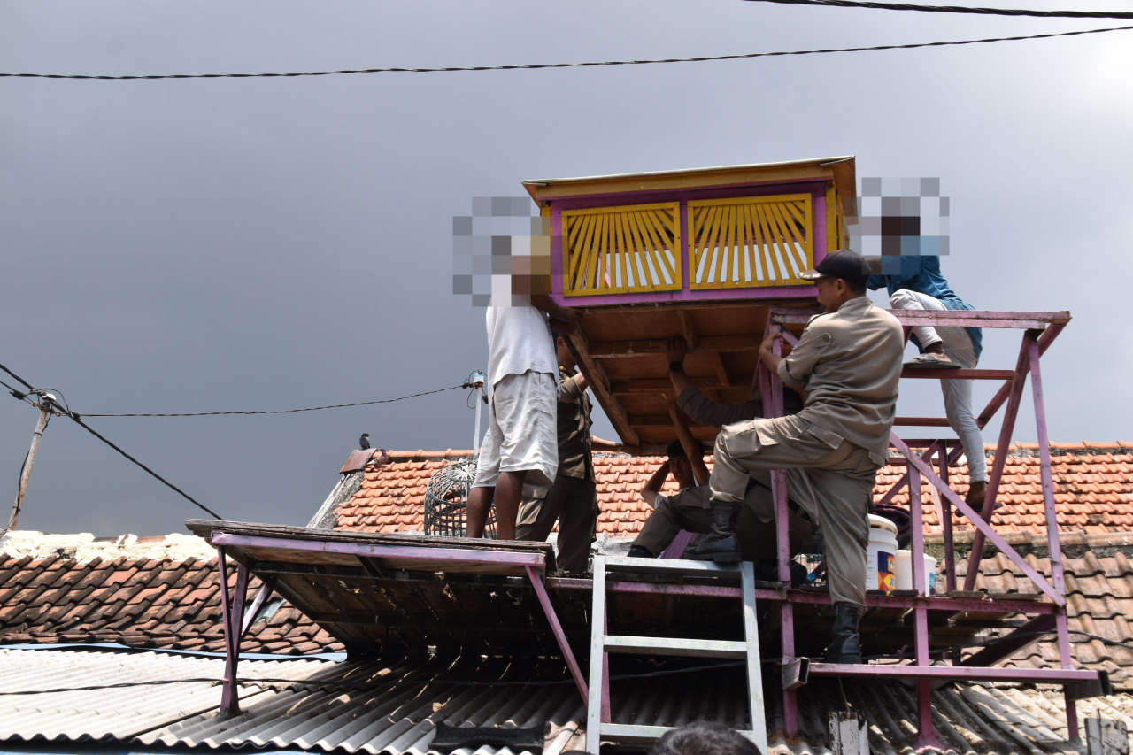 Satpol PP Kota Surabaya membongkar tujuh bekupon atau rumah burung merpati di kawasan Jalan Gubeng Masjid