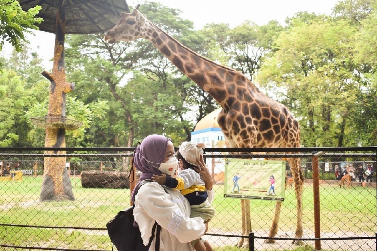 Kebun Binatang Surabaya