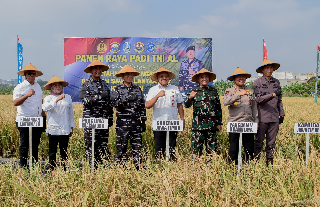 Pemkot Surabaya bersama Lantamal V menggelar panen raya padi serentak, di area persawahan Komplek AL Kenjeran, Kelurahan Sukolilo Baru