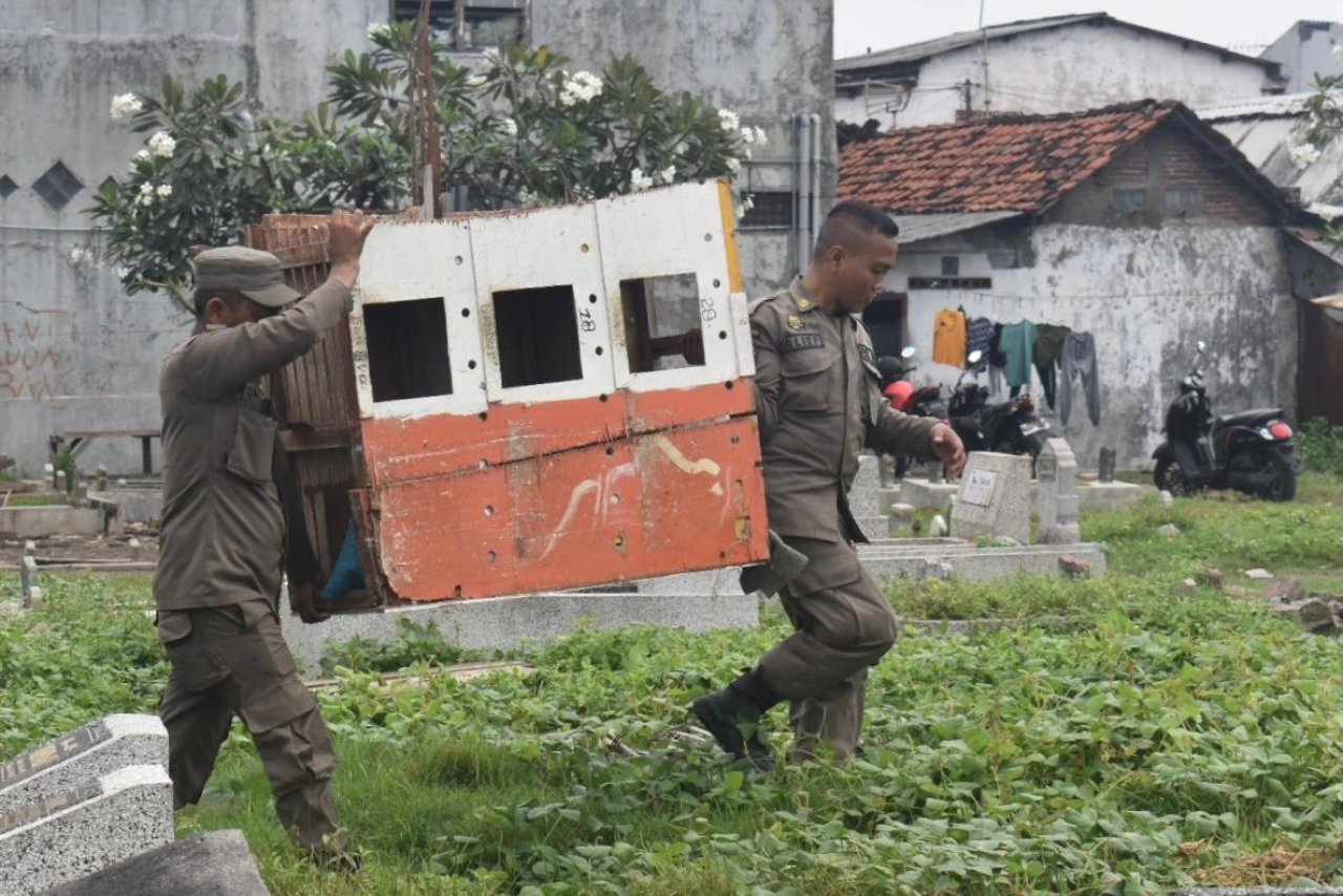 Satpol PP Surabaya menertibkan bekupon yang terindikasi digunakan judi merpati