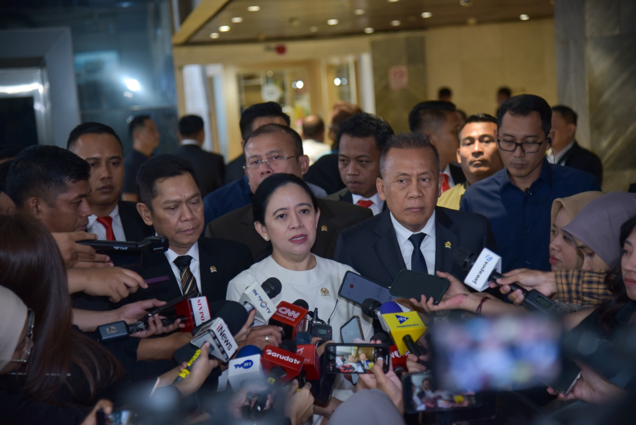 Ketua DPR RI Puan Maharani (Foto: dpr.go.id)