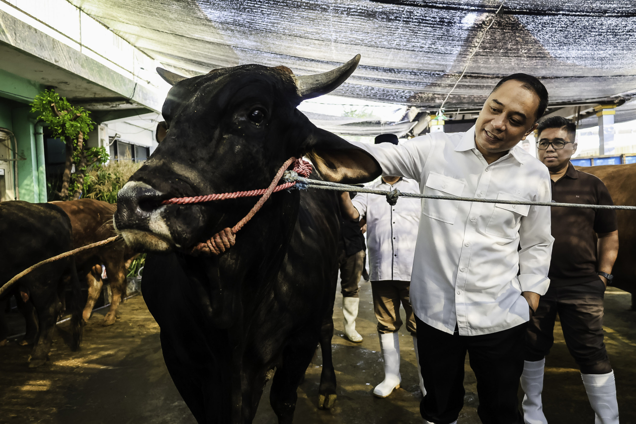 Wali Kota Surabaya Eri Cahyadi melakukan inspeksi menyeluruh terhadap hewan kurban
