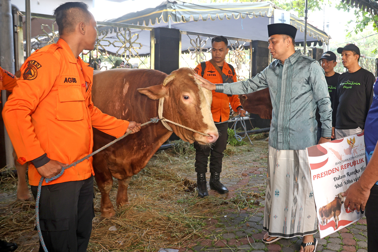 Penyerahan sapi jenis Simental dilakukan kepada Takmir Masjid Al-Muhajirin