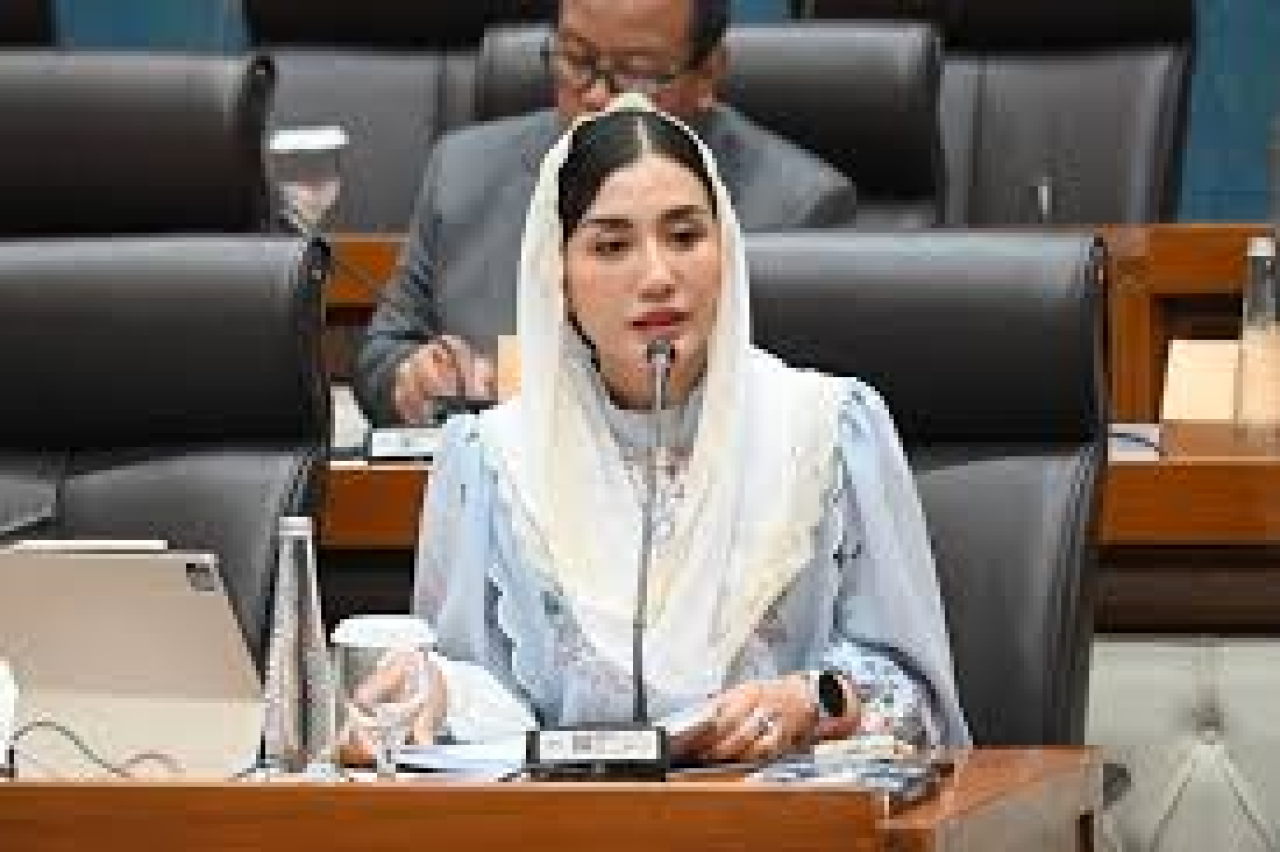 Anggota DPR RI dari Fraksi PDIP Novita Hardini