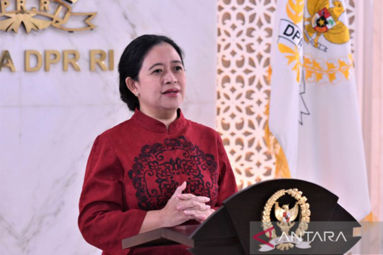 Ketua DPR RI Puan Maharani (Foto: DPR RI)