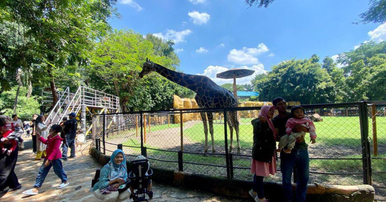 Kebun Binatang Surabaya