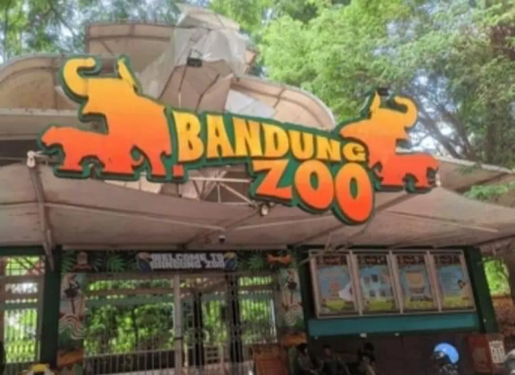 Update Info Lelang Bandung Zoo
