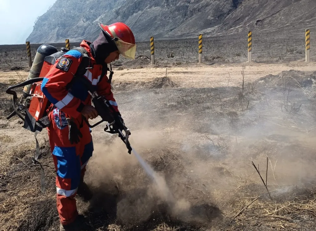 Baca juga : Pemkot Surabaya Kirim Damkar Bantu Padamkan Karhutla di Kawasan Bromo