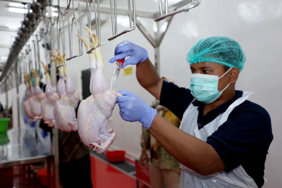 RPH Unggas Lakarsantri Surabaya Siap Fasilitasi Pelaku Usaha Pemotongan Ayam di Bratang