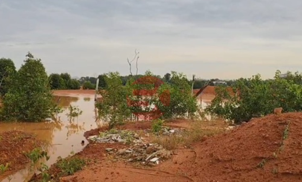 Dugaan reklamasi atau penimbunan bakau di sekitar Jalan Padjajaran Batu Besar, Kecamatan Nongsa, Kota Batam (Foto: Swara Kepri)