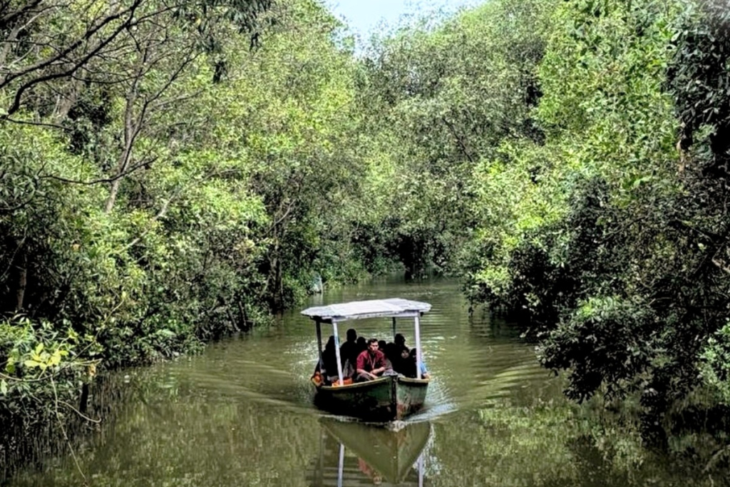 Kebun Raya Mangrove Surabaya