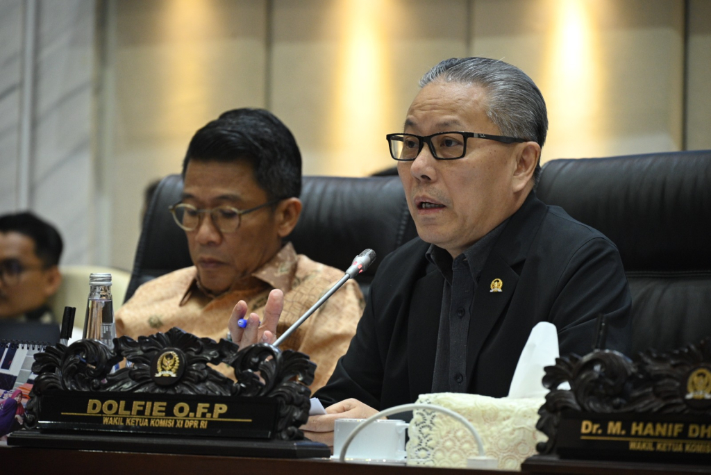 Wakil Ketua Komisi XI DPR RI Dolfie Othniel Frederic (dpr.go.id)