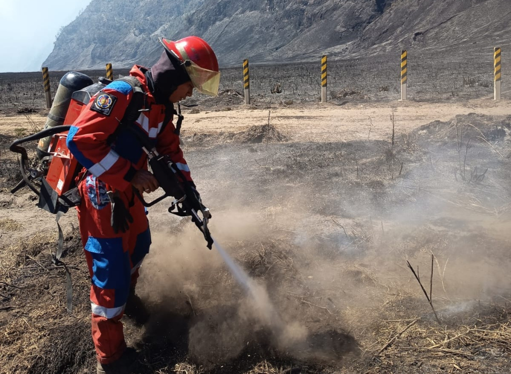 Pemkot Surabaya kerahkan petugas DPKP untuk membantu penanganan karhutla kawasan Bromo
