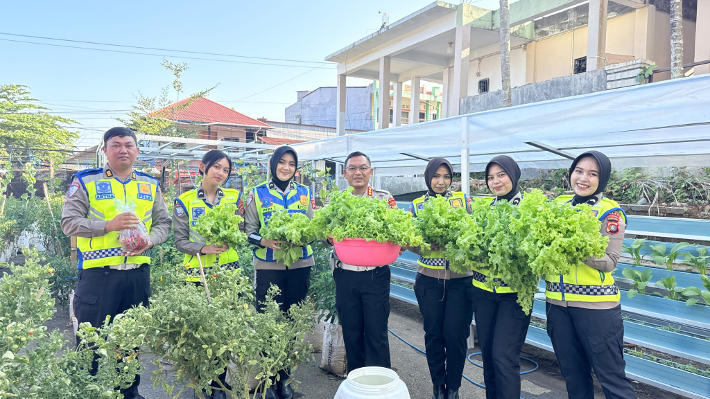 Personel Ditlantas Polda Sulbar melaksanakan panen hasil kebun di lingkungan Kantor BPKB