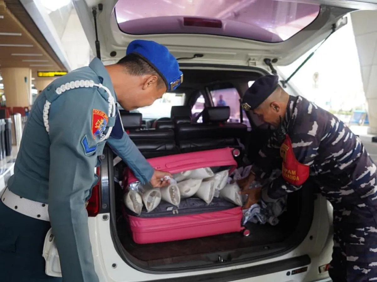 Benih lobster diamankan petugas TNI AL di Bandara Juanda