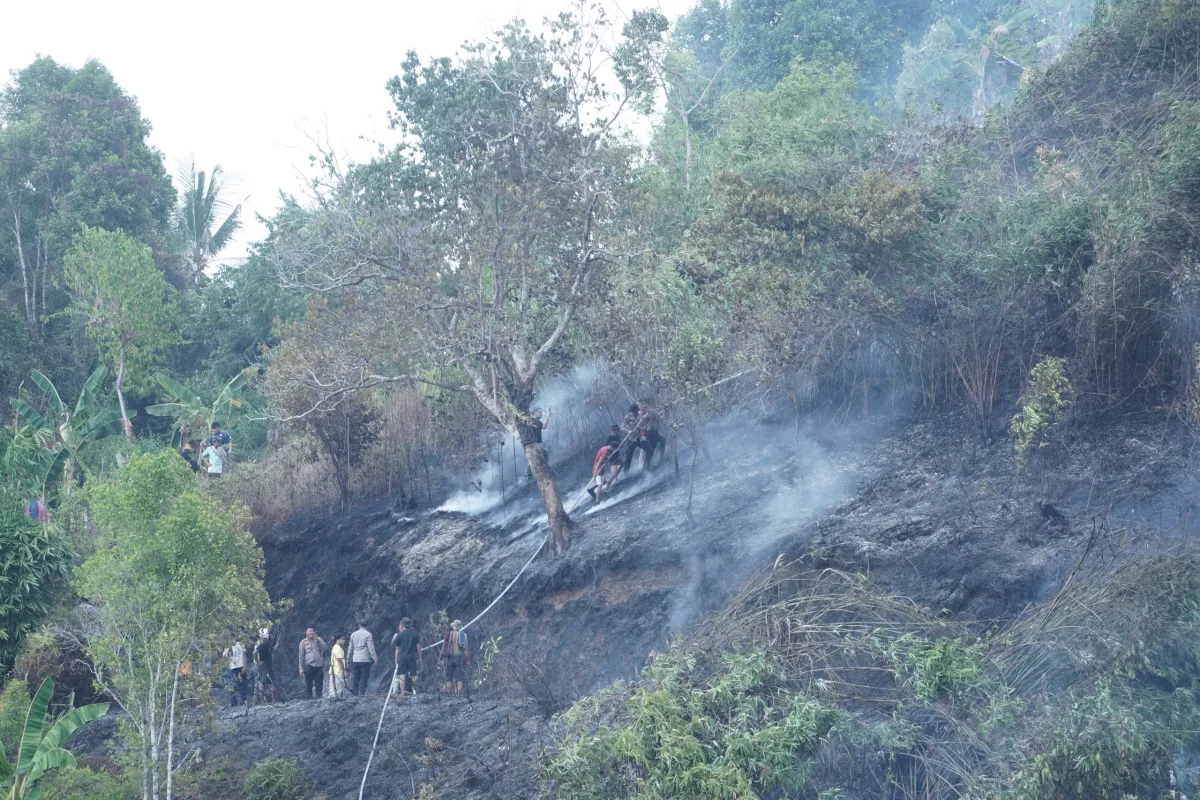 Kebun Warga di Bukit Kalubibing Terbakar, Polda Sulbar Gerak Cepat Padamkan Amukan Sijago Merah