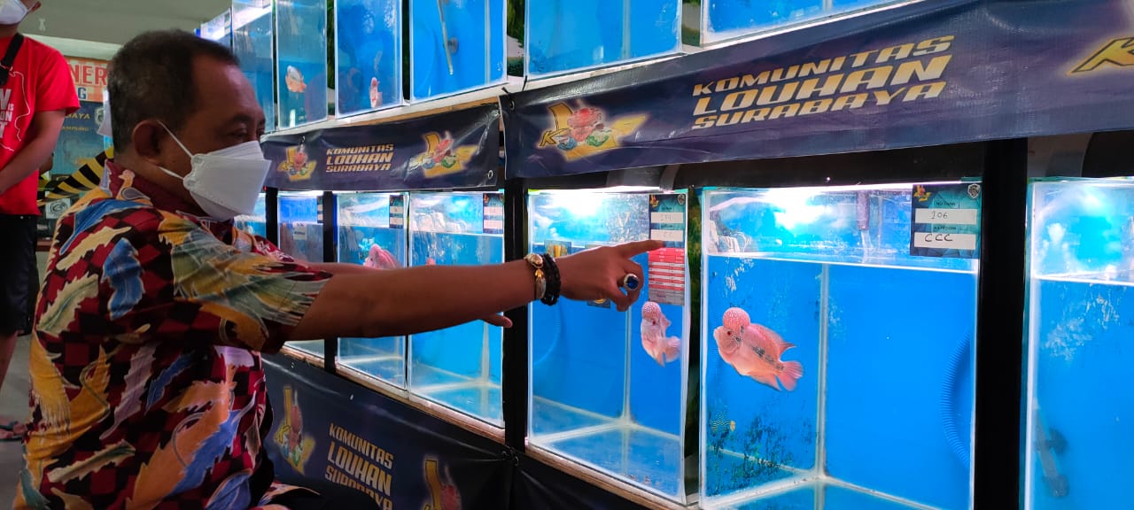 Wakil Wali Kota Surabaya, Armuji saat mengunjungi lomba Komunitas Louhan Surabaya.