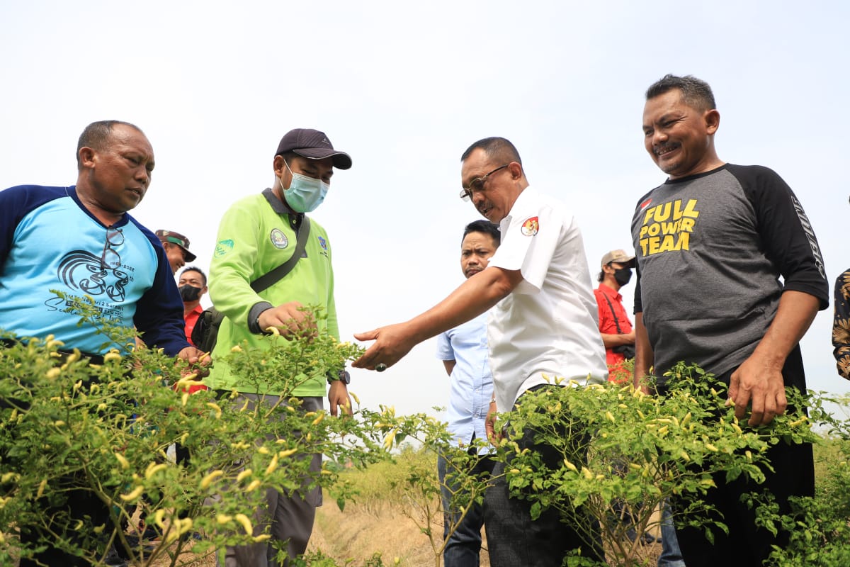 Wakil Walikota Surabaya armuji berdialog dengan petani lombok di Kelurahan Made, Sambikerep