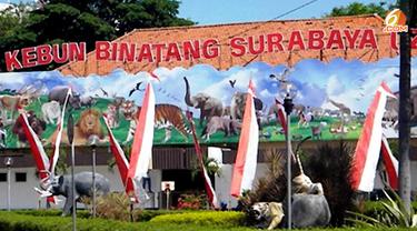 Kebun Binatang Surabaya