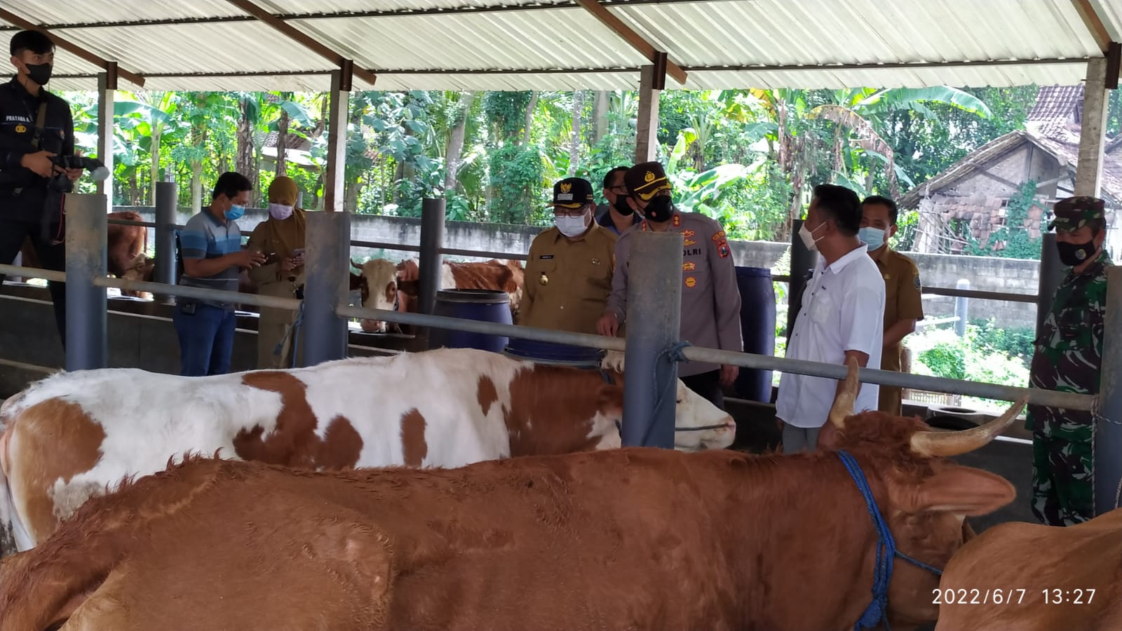 Tiga Pilar Kabupaten Tulungagung memastikan peternakan sapi di Ngantru tak terkena PMK