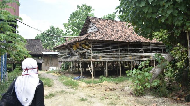Kandang ayam lokasi pencabulan yang dilakukan Sugianto