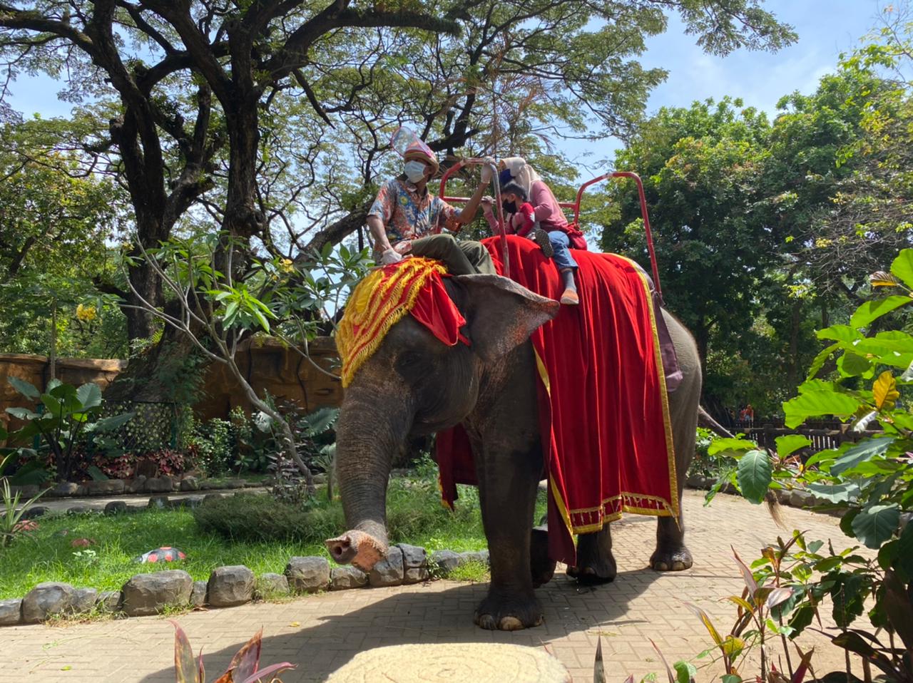 Para penjung saat menikmati wahana di Kebun Binatang Surabaya