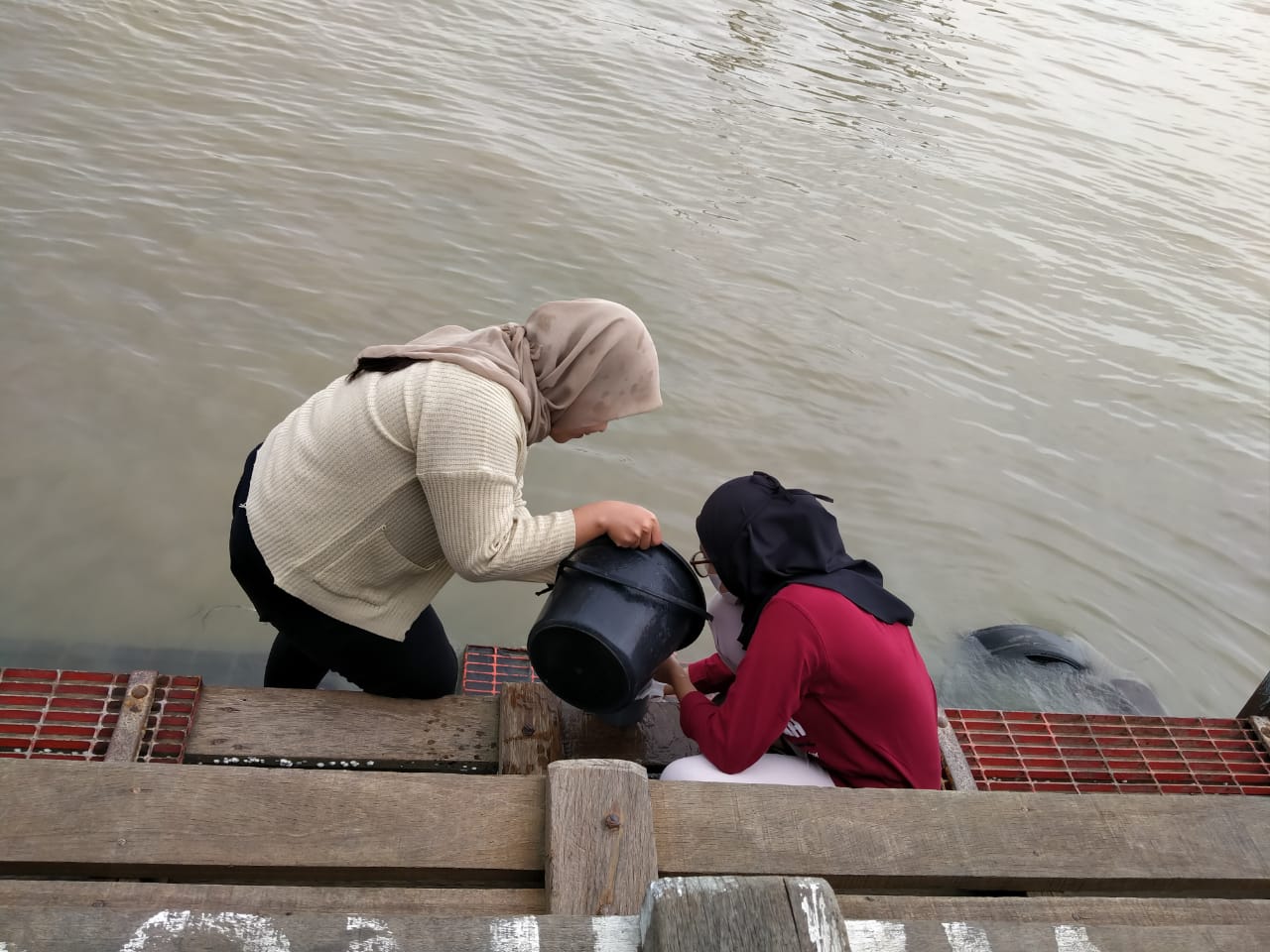 Mahasiswa Fakultas Pertanian Universitas Trunojoyo, Madura sedang melakukan penelitian di Pesisir Lumpur, Gresik.