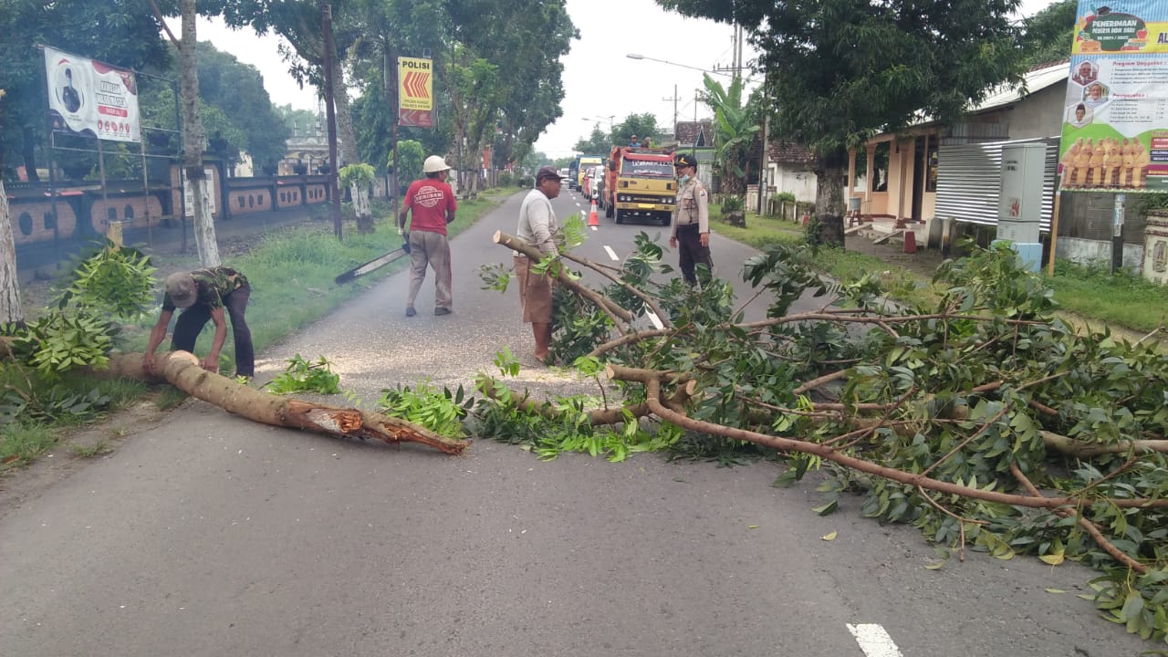 Pohon yang tumbang depan Mako Polsek Kandat, Kediri, Senin (22/2/2021). 