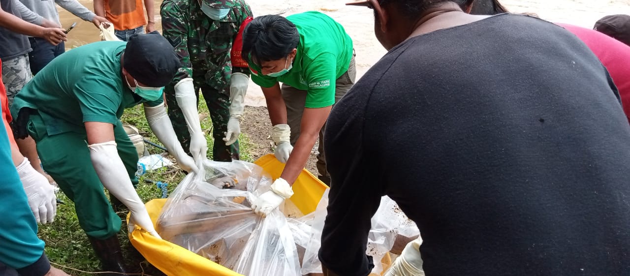 Petugas mengevakuasi mayat yang ditemukan di Kali Brantas, kawasan Desa Pinggirsari Kecamatan Ngantru, Tulungagung.