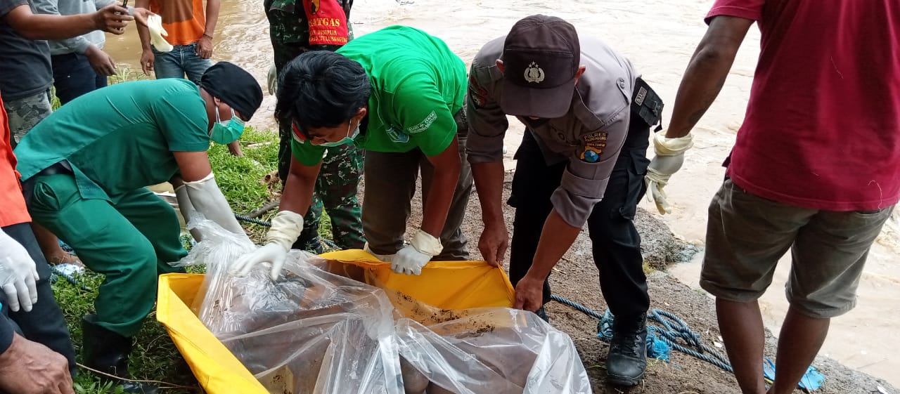 Petugas saat mengevakuasi mayat yang mengambang di Kali Brantas wilayah Tulungagung.
