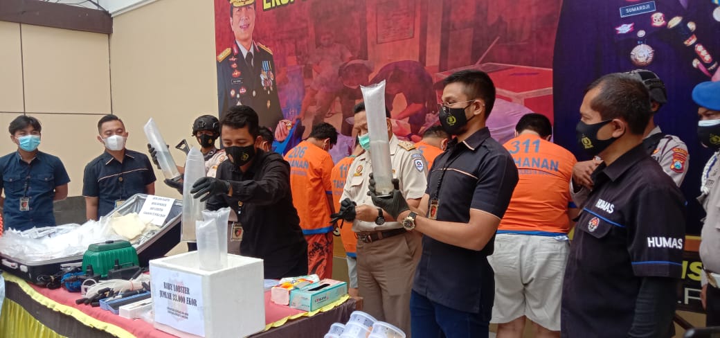 Petugas menunjukkan barang bukti pengiriman ilegal benih lobster. Penggagalan itu dilakukan di tempat parkir mobil Terminal I Bandara Internasional Juanda, Sidoarjo.