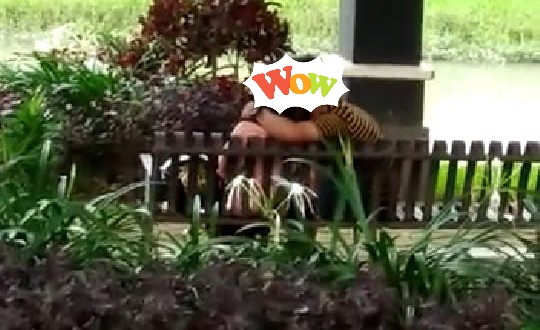 Tangkapan layar kamera warga yang menangkap aksi tidak senonoh sepasang muda-mudi di Taman Pinka, Trenggalek.