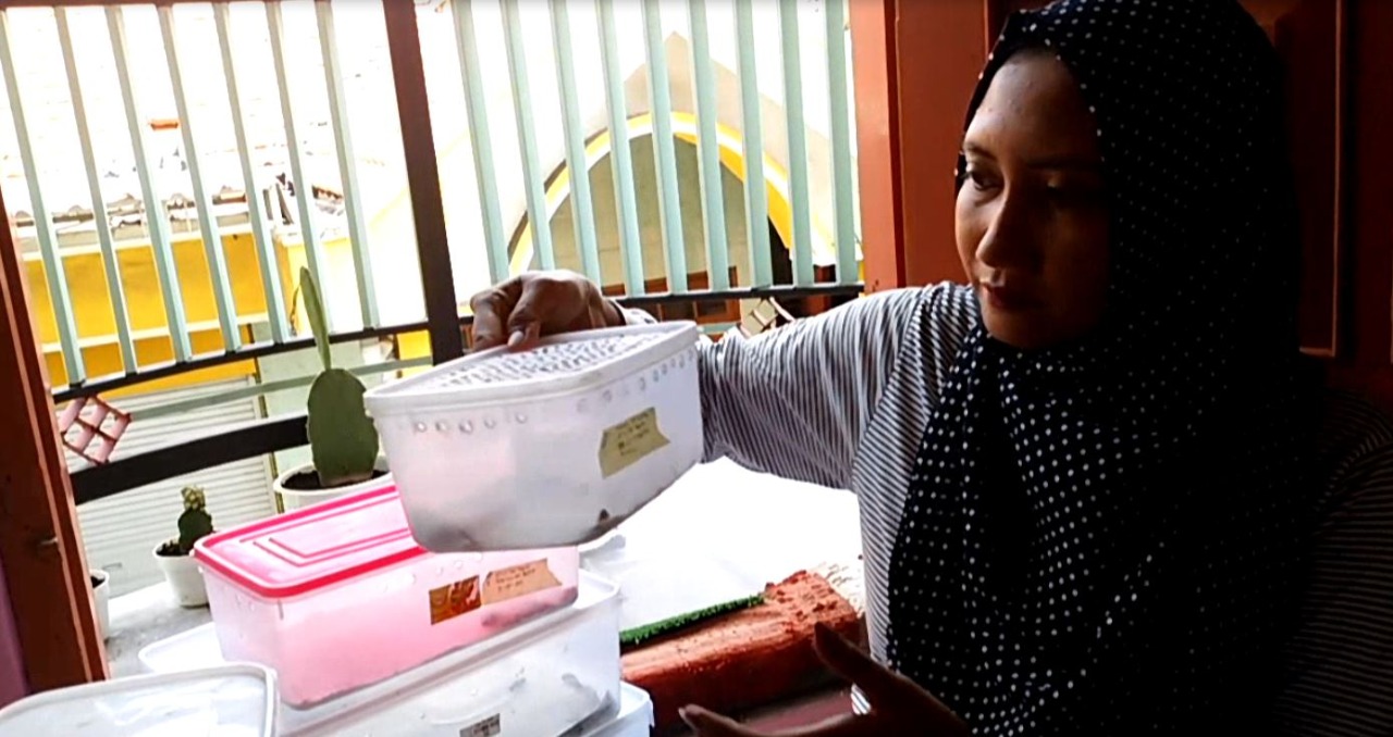 Wulan Yunita bersama reptil tokek hias miliknya, Selasa (6/4/2021), dalam sebulan meraih omzet juataan rupiah.