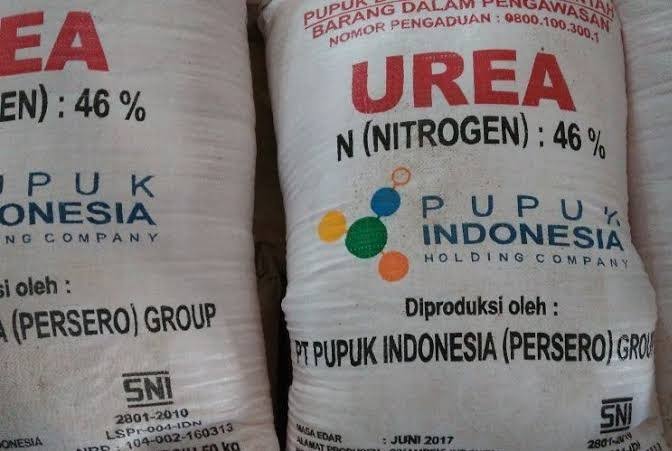 Ilustrasi pupuk bersubsidi.