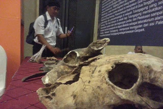 Salah satu temuan Tim Kementrian ESDM saat survei geosite baru di Tulungagung
