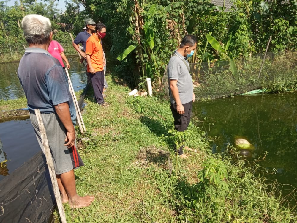 Mayat Katemah mengapung di kolam ikan patin.