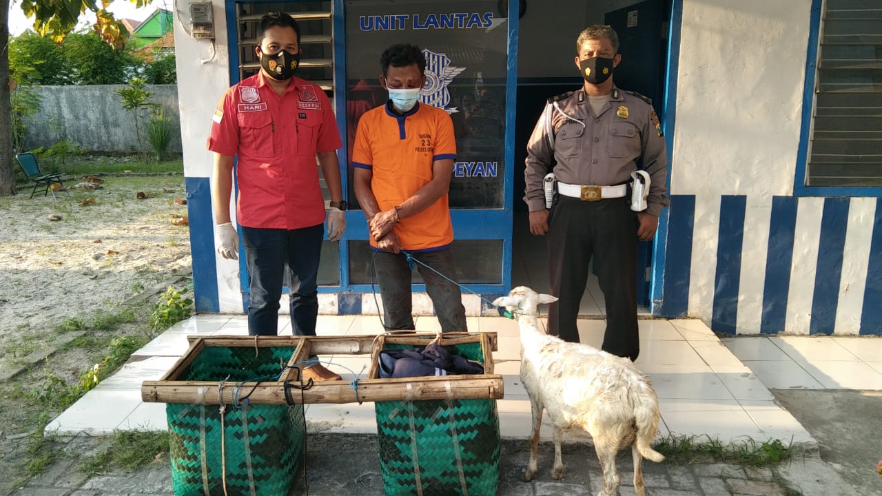 Pelaku pencuri kambing, Suwardi (47) diapit petugas Polsek Duduksampeyan, Sabtu (24/4/2022).