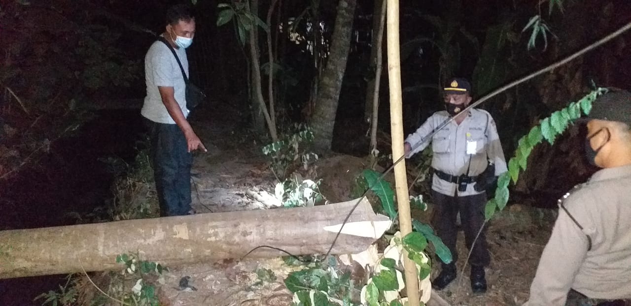  Lokasi korban tertimpa pohon lapuk.