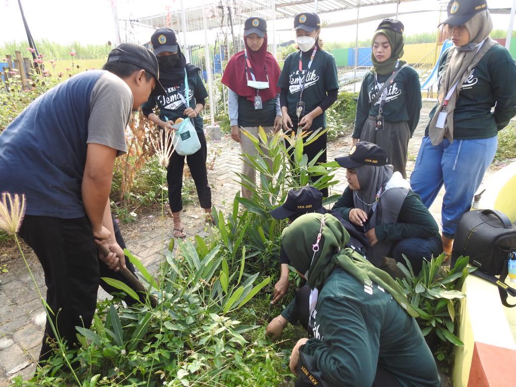 KKN mahasiswa Universitas Bhayangkara Surabaya.