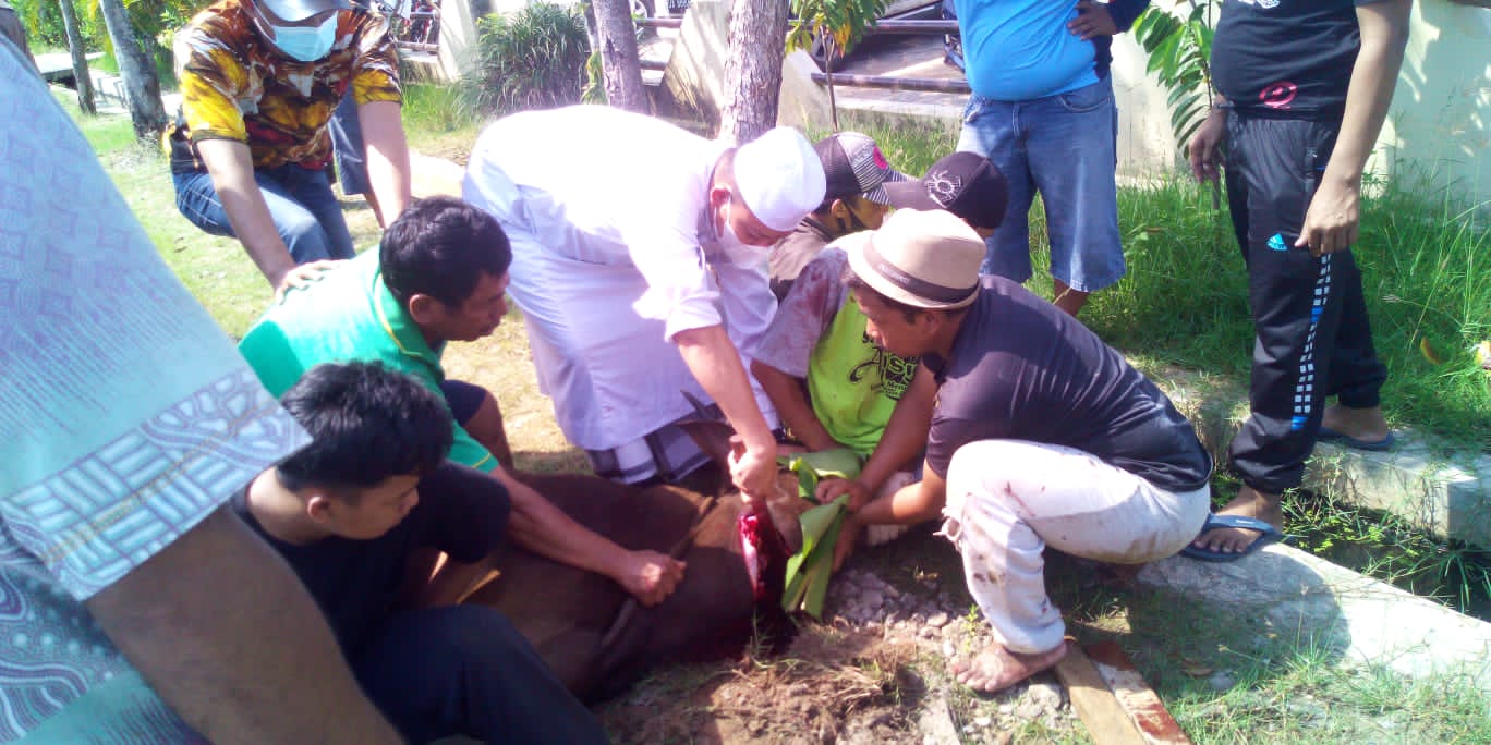 Suasana penyembelihan hewan kurban di Banjarmasin.