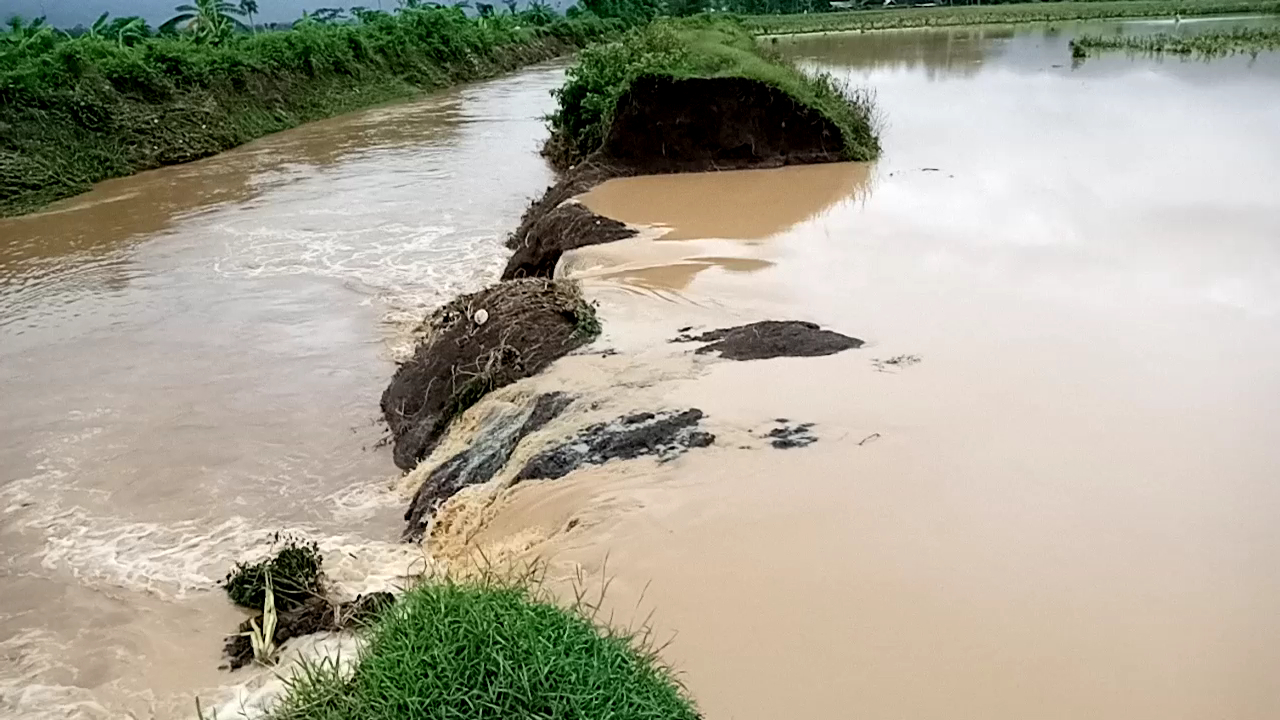 Tanggul sungai yang jebol di Desa Tunggangri Kecamatan Kalidawir.