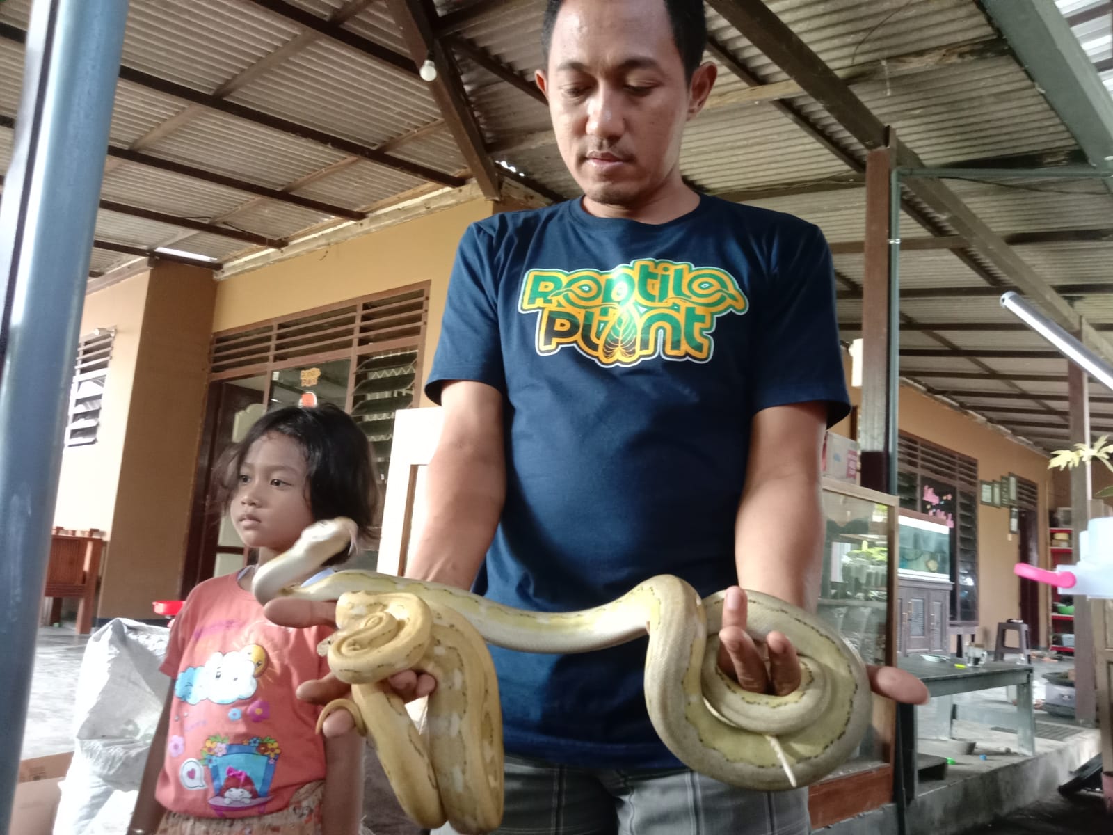 Zaenal Arifin menunjukan ular piton miliknya yang berharga Rp45 Juta.