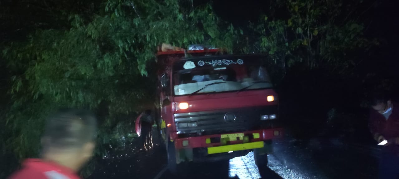 Truk Fuso tertimpa pohon saat hujan lebat disertai angin kencang di Jombang